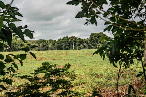 Venta De Terreno En Ex-hacienda El Jobo En Tampico Alto