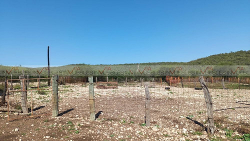 El Palmarito