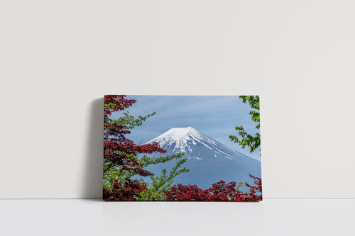 Cuadro Monte Fuji 50x75cm Lienzo - Canvas