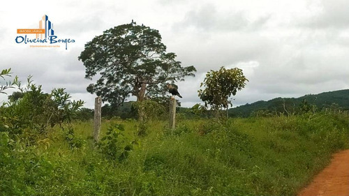 Chácara Com 1 Dormitório À Venda, 20000 M² Por R$ 235.000,00 - Zona Rural - Pirenópolis/go - Ch0077