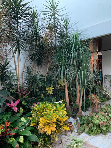 Imagen 18 de 30 de Casa Venta Fuentes Del Pedregal 3 Rec 5 Baños 5 Autos Jardín 250m Oportunidad
