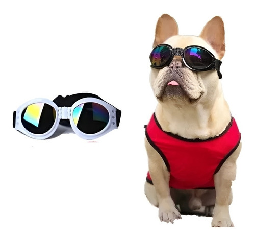 Gafas Para Perros Uv Gafas Para Perros Mascotas Perros 866