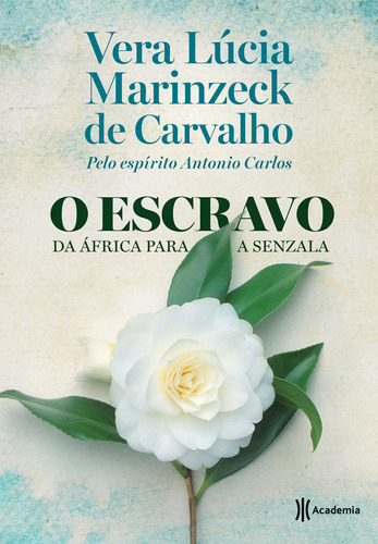O escravo, de Carvalho, Vera Lucia Marinzeck De. Editora Planeta do Brasil Ltda., capa mole em português, 2017