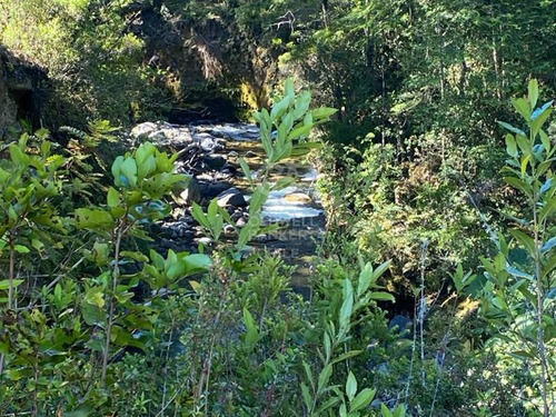 Inmersas En Bosque, Con Orilla De Rio Y Vista Al Lago.