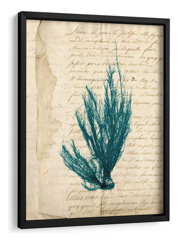 Cuadro Enmarcado Negro Vintage Teal Seaweed Ix 45x60