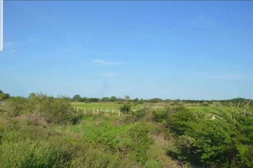 Lote De 11° Hectares De Terra.