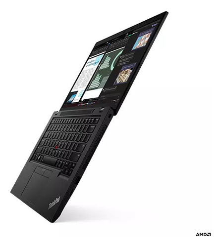 Laptop Para Oficina Lenovo Thinkpad L14, Amd Ryzen Negro