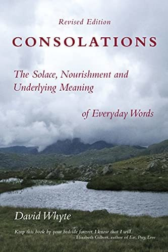 Book : Consolations The Solace, Nourishment And Underlying.