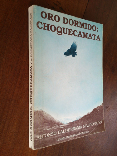 Oro Dormido Choquecamata - Balderrama Maldonado - Bolivia