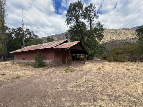 5,3ha, Camino El Volcan / San Jose De Maipo Alto