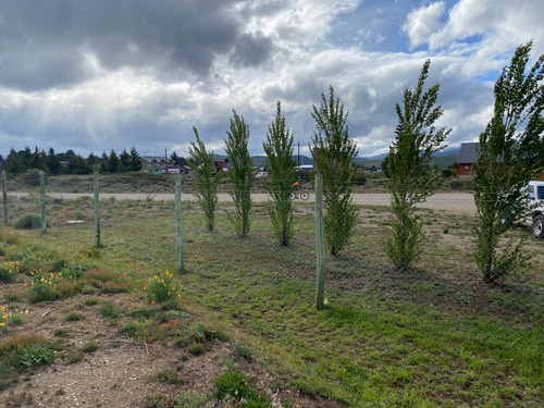 Imagen 8 de 11 de Venta Lote Barrio Privado Barrancas De Dina Huapi Río Negro