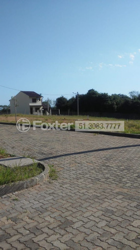 Imagem 4 de 21 de Terreno, 229.5 M², Campo Novo - 190370