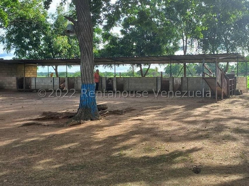 Imagen 10 de 12 de Finca Venta El Rastro Guarico Rolando Rodriguez Codg 23-2723