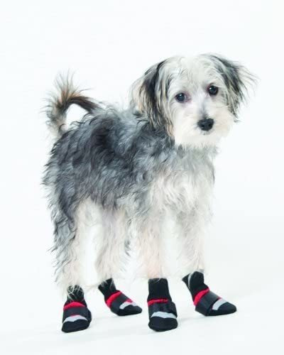 Moda Mascota Extreme Botas Xxs Rojo