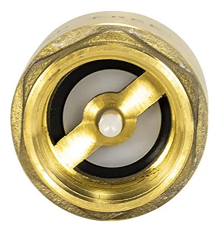 Vlvula De Retencin En Lnea Ez-flo, 1puLG Ips, Resorte De Ace