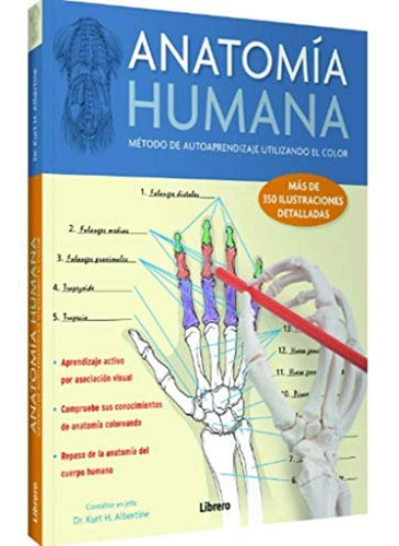 Anatomía Humana :método De Autoaprendizaje Utilizando El Col