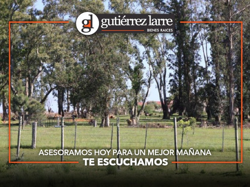 Buen Campo Agrícola, Ganadero, Forestal. Lindo Casco Y Costa