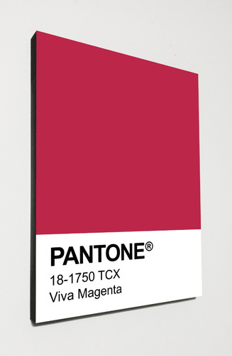 Cuadro Estilo Pantone 30x40 Pedi Tu Color