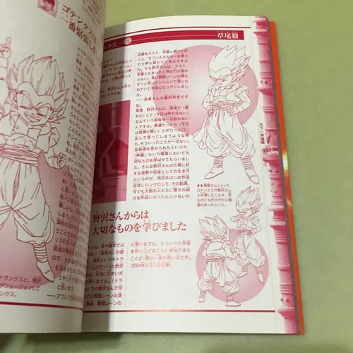 Tv Anime Guide Dragon Ball Legend Of Tenkaichi Tomo Japonés