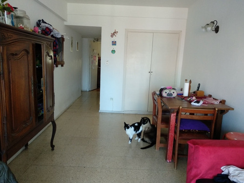 Imagen 5 de 13 de Vendo Departamento 2 Ambiente Y Medio Con Dependencia Zona