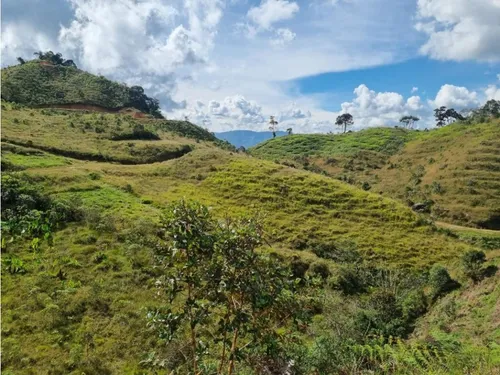 Lote En Vender En Barbosa