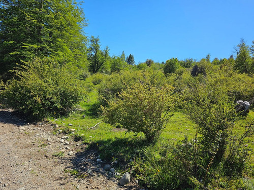 Hermoso Terreno En Seccion Lago Lezana -cholila-chubut