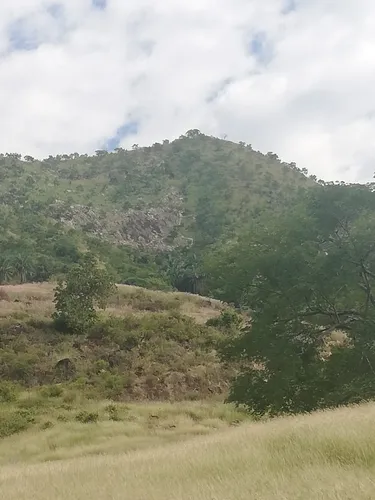 Finca Ganadera Con Nacimiento De Agua Propio