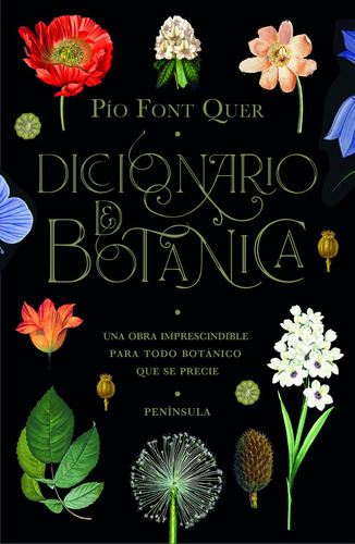 Diccionario De Botanica - Font Quer Pio