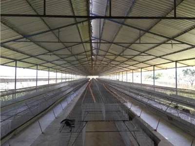 Hacienda-Finca en venta