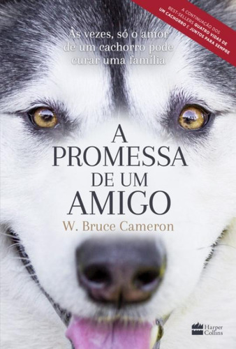 Livro A Promessa De Um Amigo