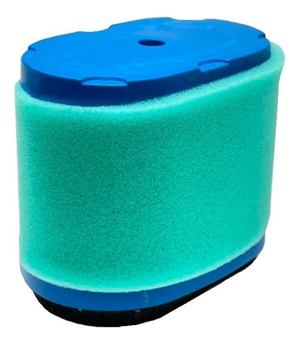 Filtro De Aire 697029 Briggs & Stratton 690610 498596