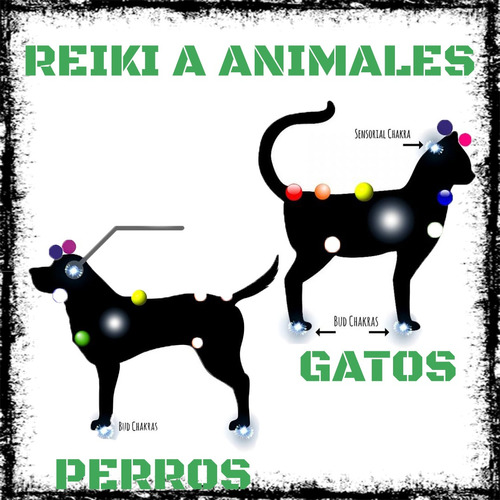 Sesión De Reiki A Distancia Perros Gatos Animales Domesticos