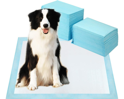 40 Pañales Sabanillas Premium Mascotas Perros 60x60 Cms