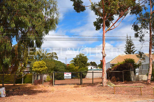 Terreno En Algarrobo Central
