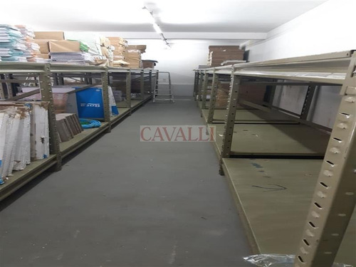 Imagem 16 de 21 de Excelente Comercial Com 550 Mts - 4806