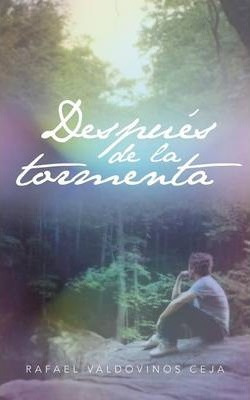 Libro Despues De La Tormenta - Rafael Valdovinos Ceja