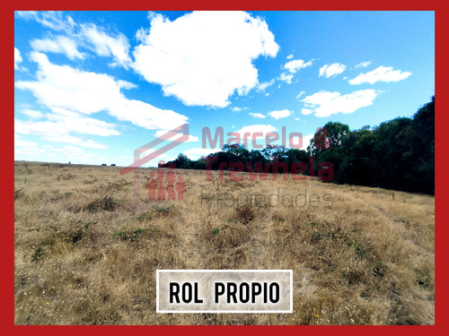 Vendo Terreno 1.6 Hectareas, Comuna De Nueva Imperial. Codig