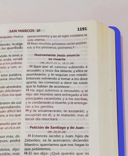 Biblia Reina Valera 1960 Letra Grande Mediana Azul Y Dorado