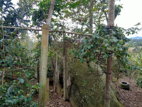 Imagem 3 de 7 de Chácara Com 2 Dormitórios À Venda, 600 M² Por R$ 200.000,00 - Parque Residencial Samambaia - Suzano/sp - Ch0015