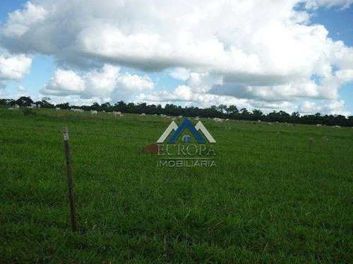 Imagem 4 de 12 de Fazenda Com 3 Dormitórios À Venda, 3993000 M² Por R$ 18.150.000,00 - Zona Rural - Presidente Venceslau/sp - Fa0004