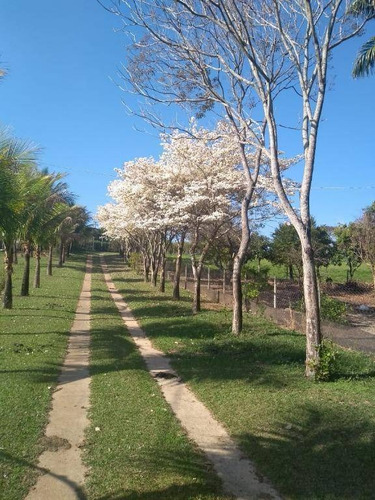 Imagem 14 de 16 de Sítio Com 2 Dormitórios À Venda, 36300 M² Por R$ 3.000.000,00 - Cardeal - Elias Fausto/sp - Si0072