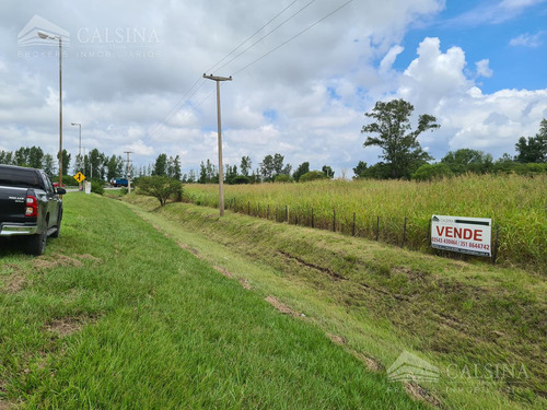 Terreno En Alquiler O Venta - Avenida Padre Luchesse Y Ruta E53 - Villa Allende