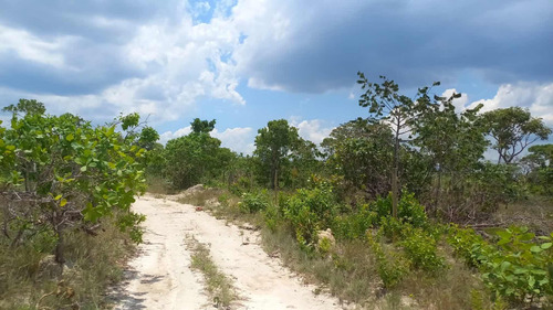 Área Chácara Cavalcante-go 1 Hectares