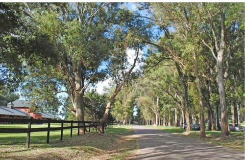 Imagen 6 de 7 de Venta De Lote En Haras San Pablo - General Rodriguez
