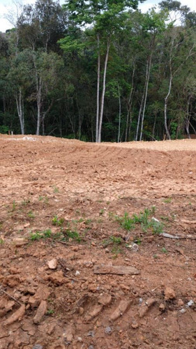 Imagem 4 de 15 de Terreno Em Condomínio Para Venda Em Curitiba, Santa Cândida - 342_2-1090202