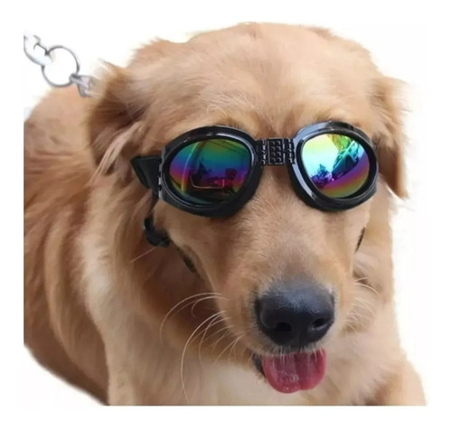 Lentes Gafas Mascotas Certificado Ce Filtro Uv 400 Perro Cat