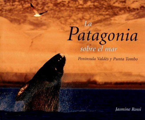Patagonia Sobre El Mar La - Jasmine Rossi