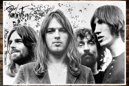 Poster Lamina De Pink Floyd 47,5 X 32,5 Cm Blanco Y Negro