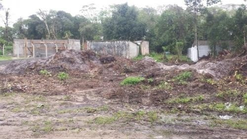 Imagem 2 de 5 de Terrenos Aterrados No Coronel Em Itanhaém Litoral - 6442 Npc