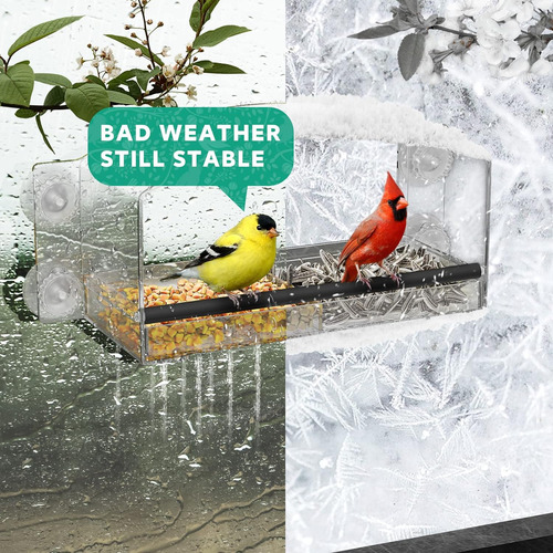 Window Bird Feeder Window Bird Feeders With Strong Suction C